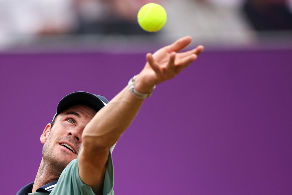 伤无疑为凯 伤无疑为凯