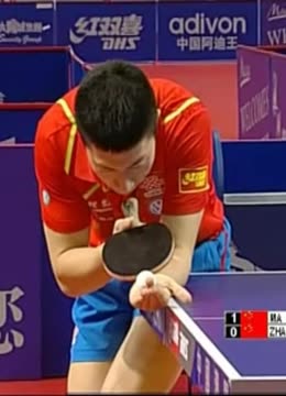 海港的后防 海港的后防