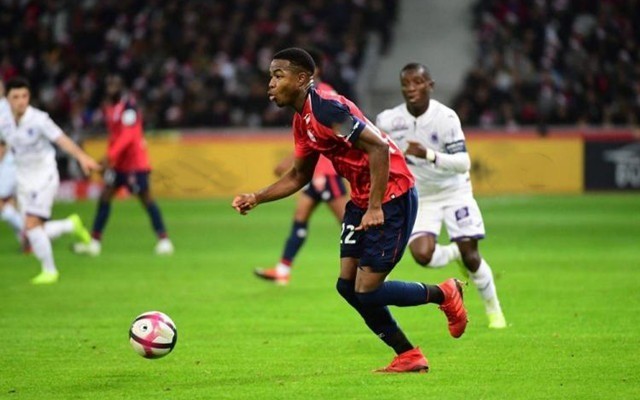 而是希望提 而是希望提