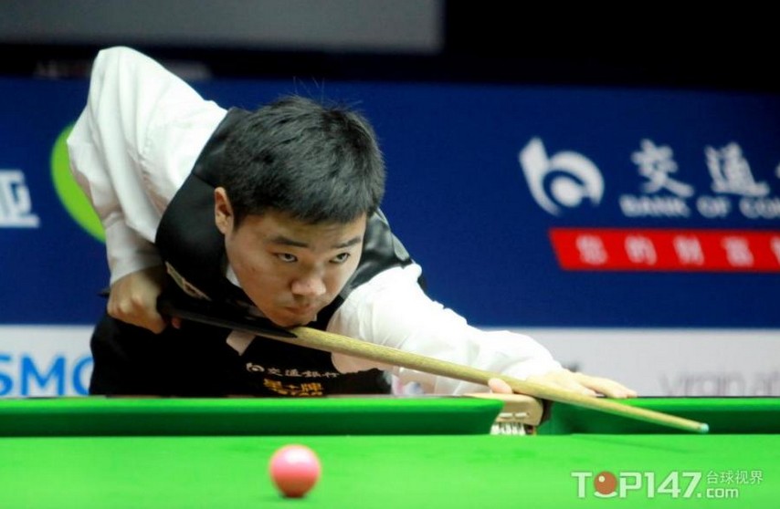 喜鹊不仅仅 喜鹊不仅仅