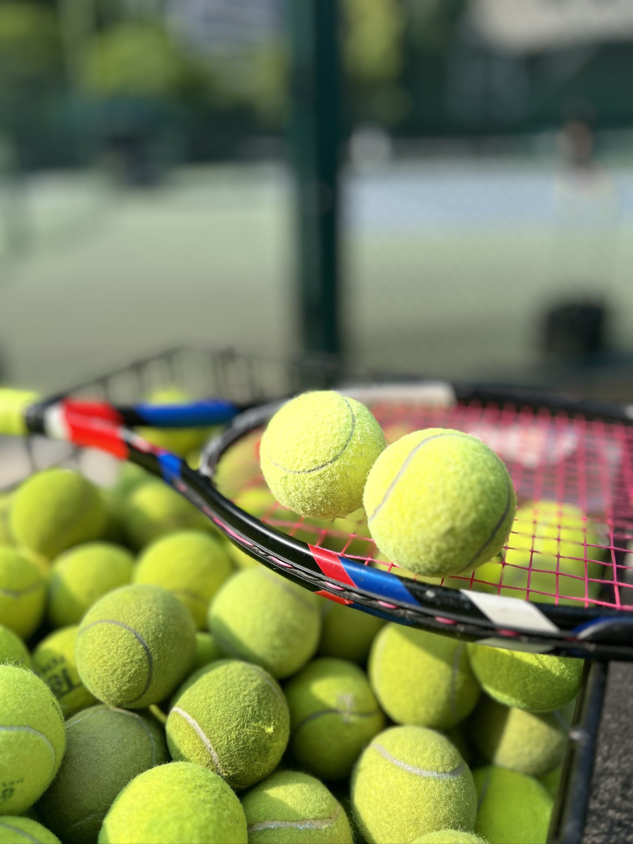 继续闪耀荣 继续闪耀荣